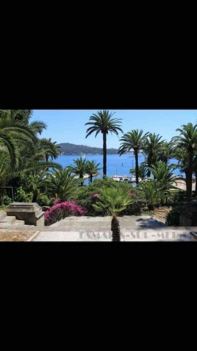 Апартаменты Le Dyonisos Et Piscine Ла-Сейн-сюр-Мер Экстерьер фото