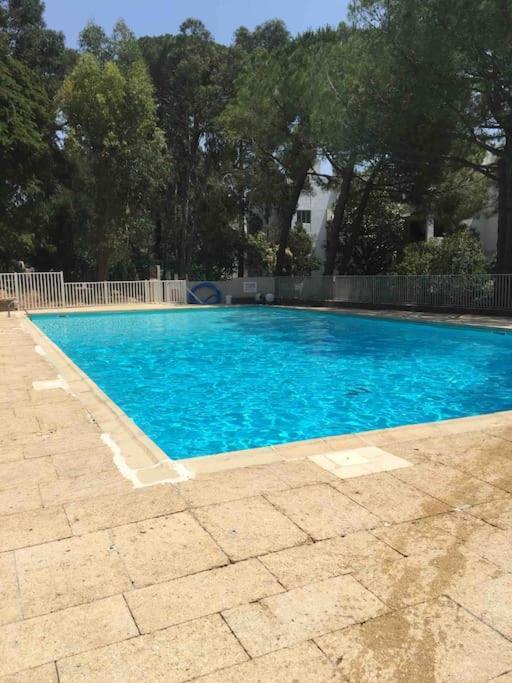 Апартаменты Le Dyonisos Et Piscine Ла-Сейн-сюр-Мер Экстерьер фото